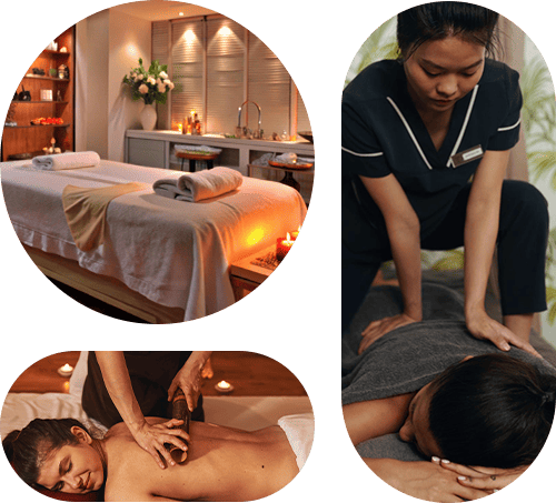 Trusted Wellness Experts